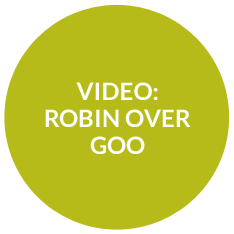Video Video